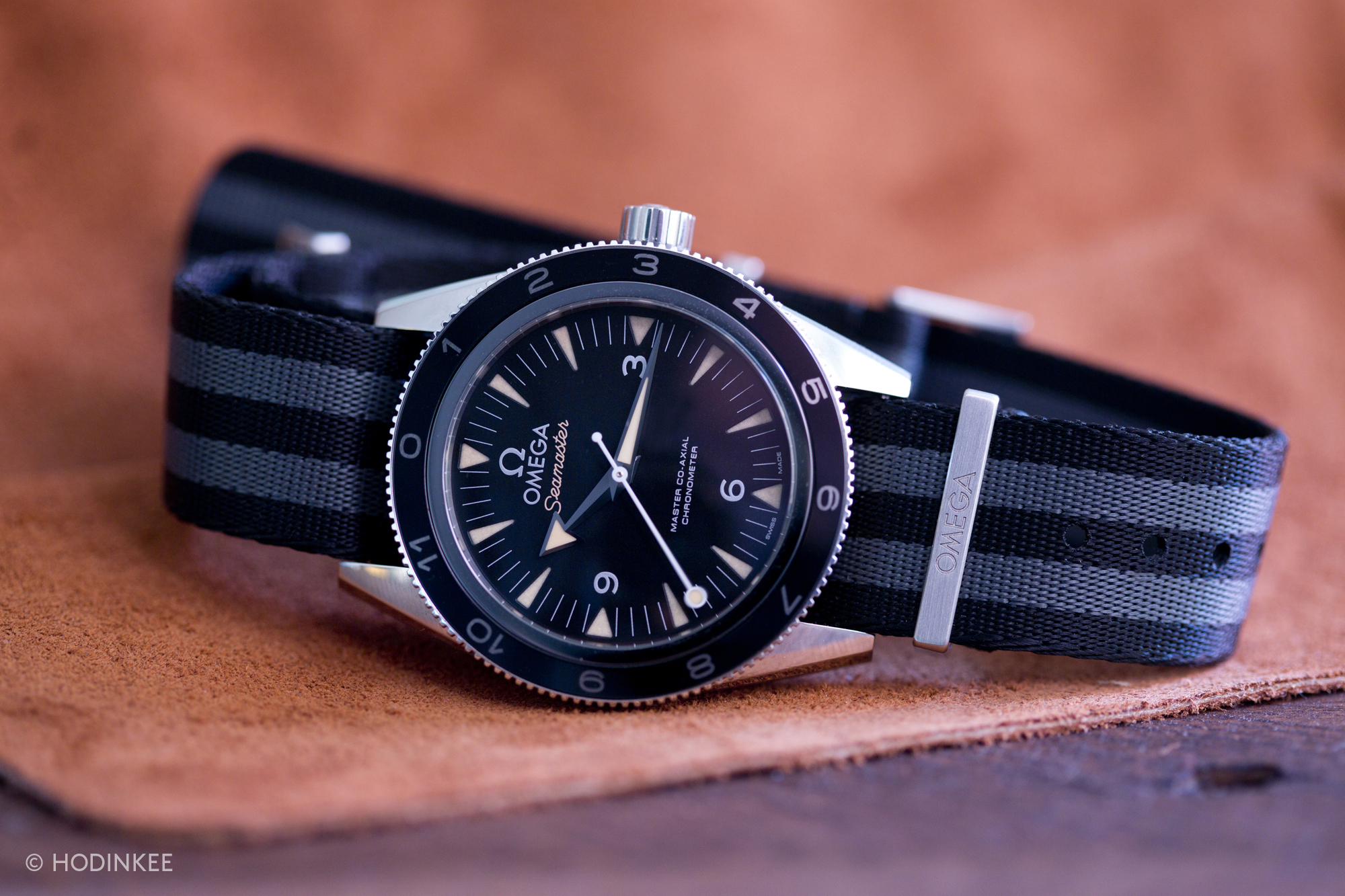 Hodinkee seamaster outlet 300