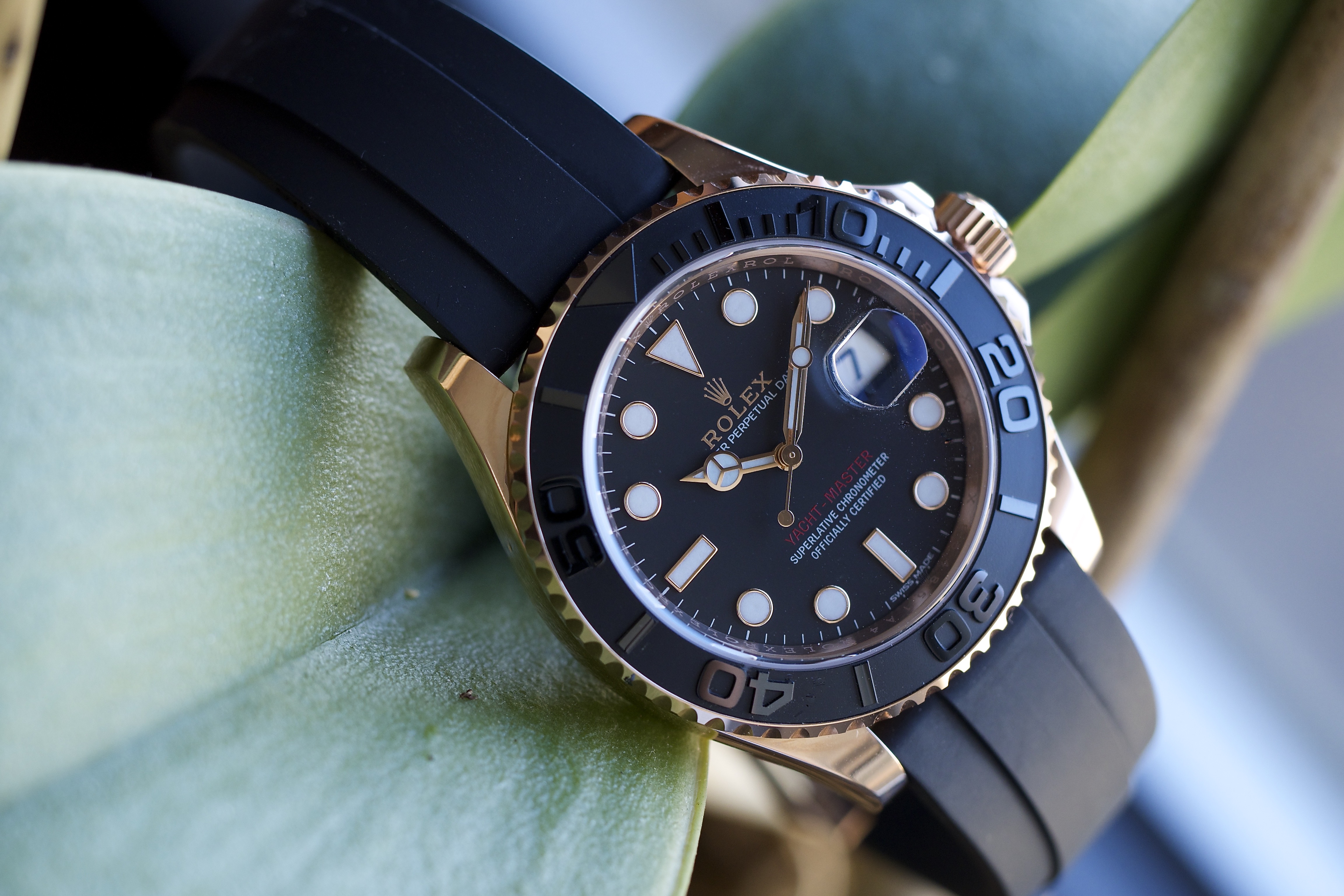 yacht master 40 reviews