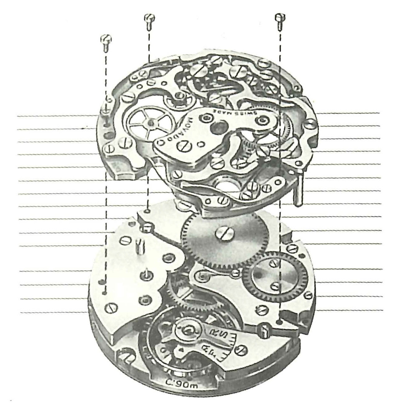a movado movement diagram