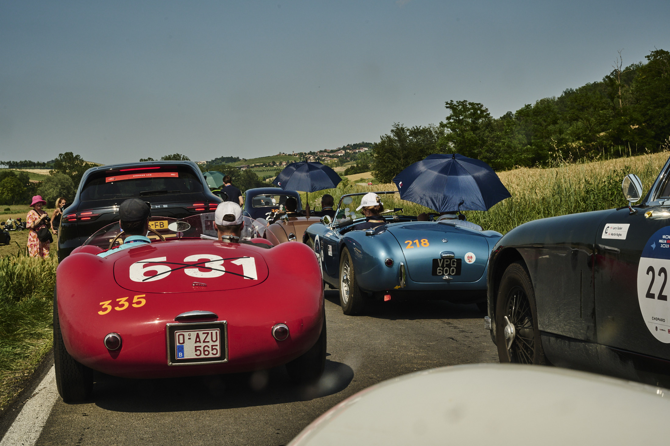 Umbrellas in the sun