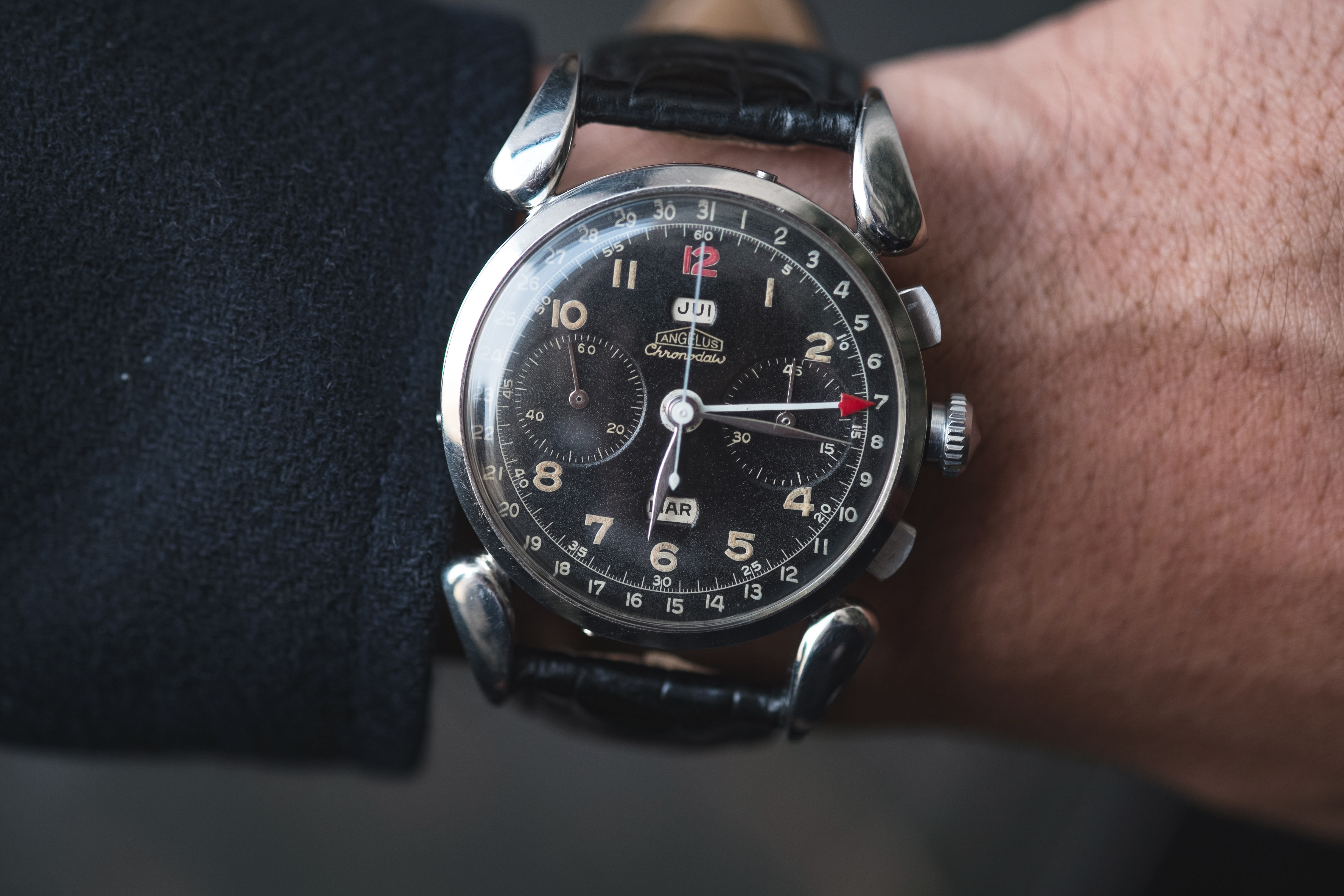 Angelus Chronodato.