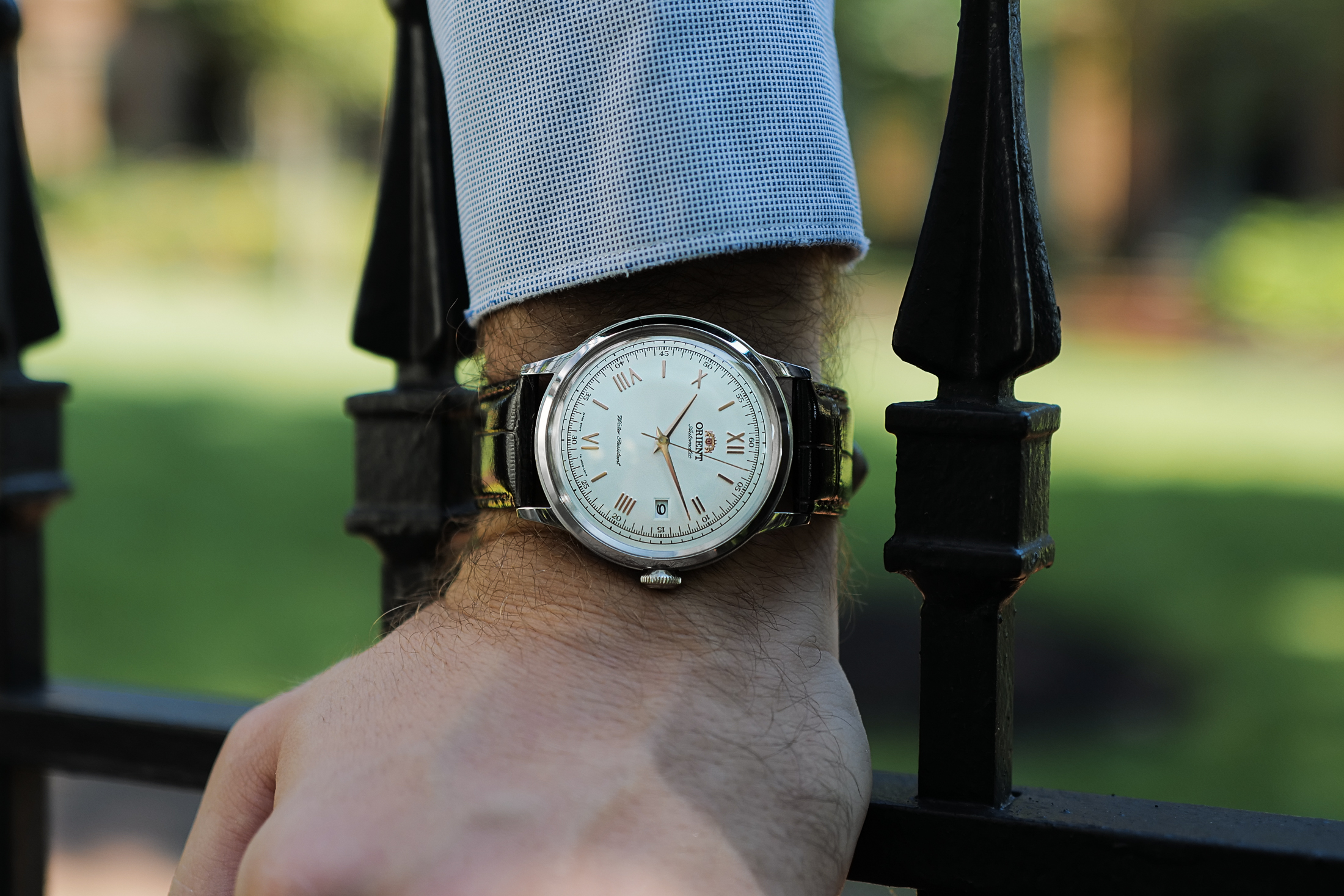 Watch Straps For Orient Bambino Outlet Bellvalefarms
