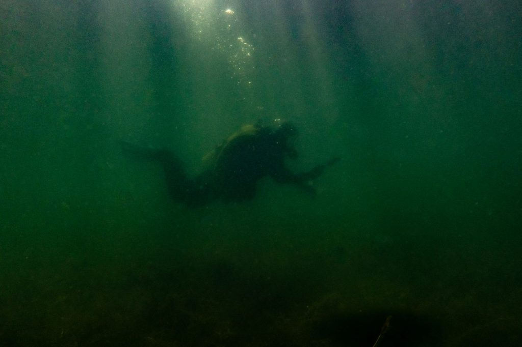 A woman diving in marshy water.
