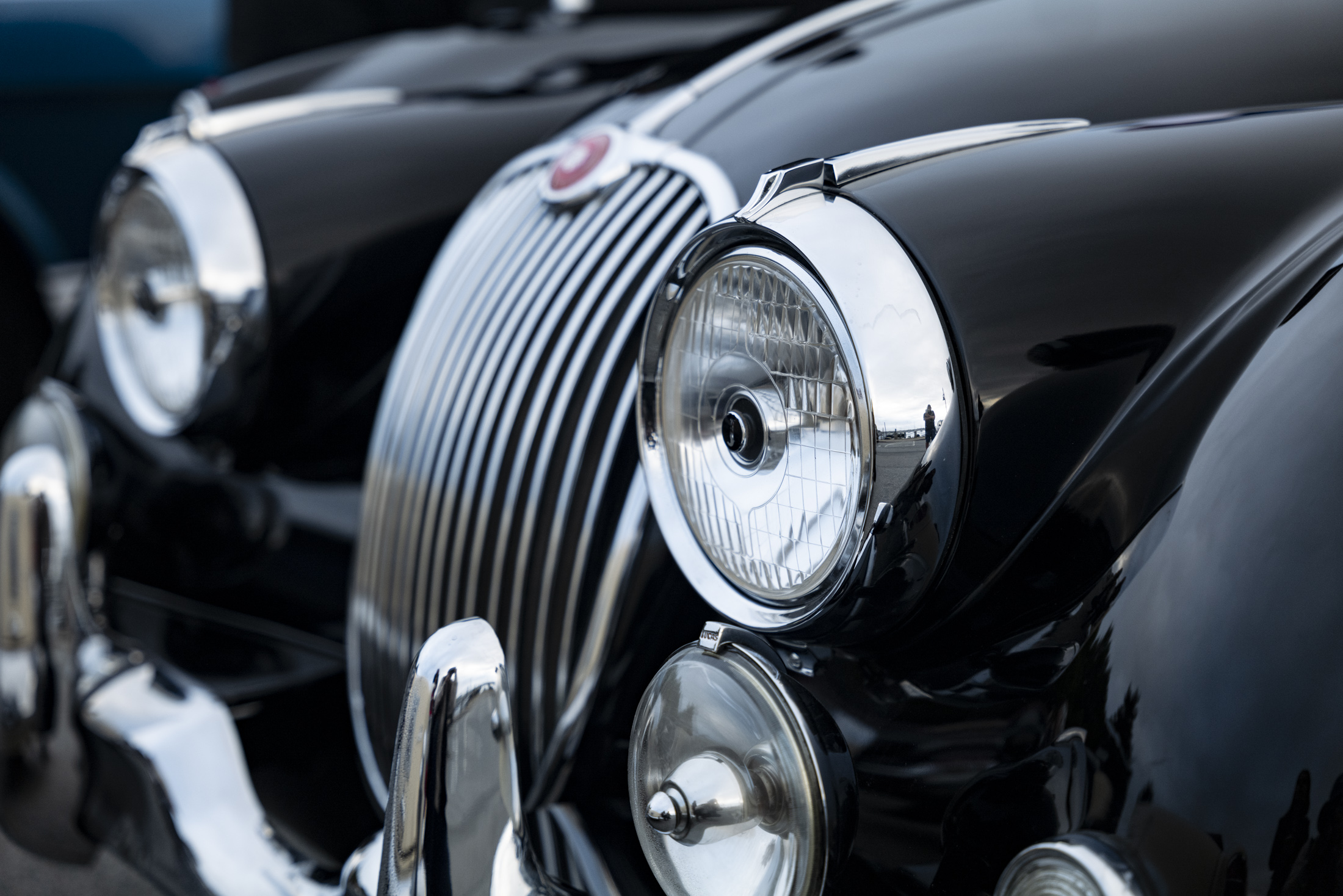 the audrain tour d'elegance