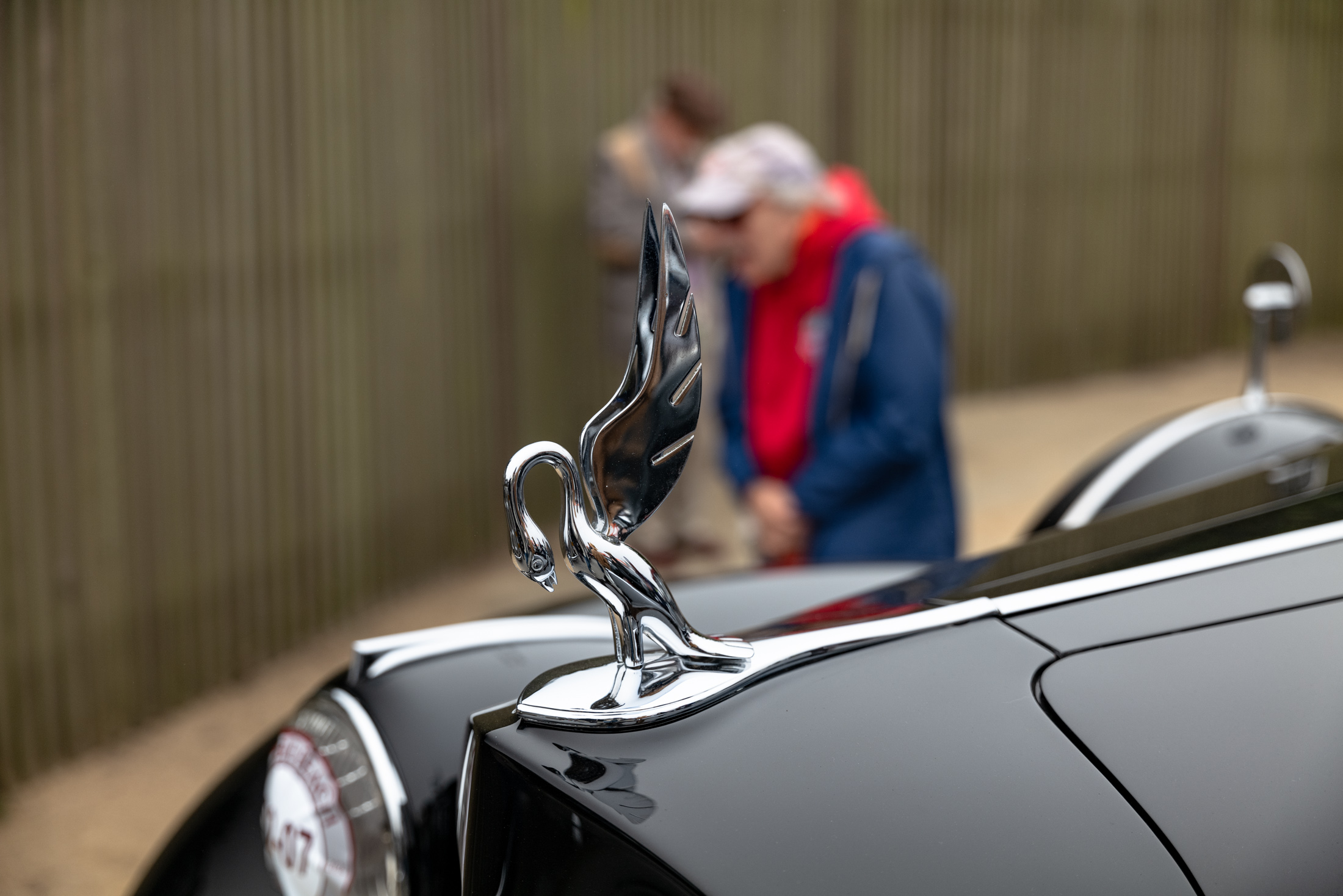 hood ornament